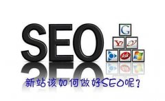 SEO̳̣վŻ׶μ̽