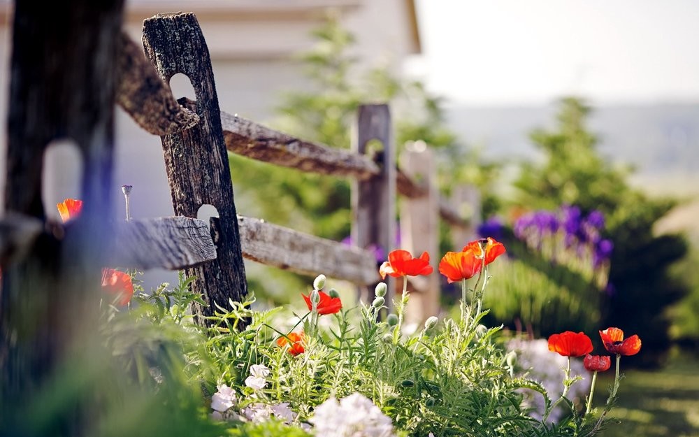 2017年最新歌曲大全