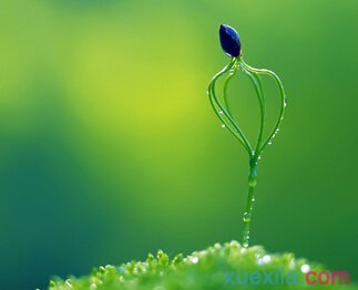 2017�������ǩ��_2017΢��˵˵ǩ��