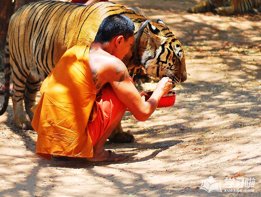 feed�Ĺ�ȥʽ���÷�����