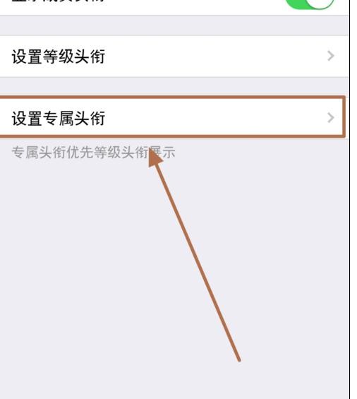 �������qqȺר��ͷ��