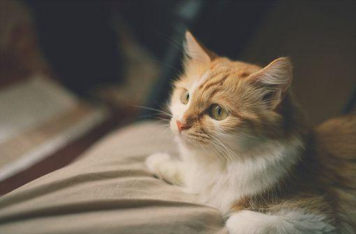 Ů����ʹ�˸�qq����ǩ��