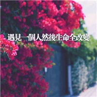 qqͷ��Ψ���羰ͼƬ��ȫ