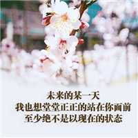 qqͷ��Ψ���羰ͼƬ��ȫ